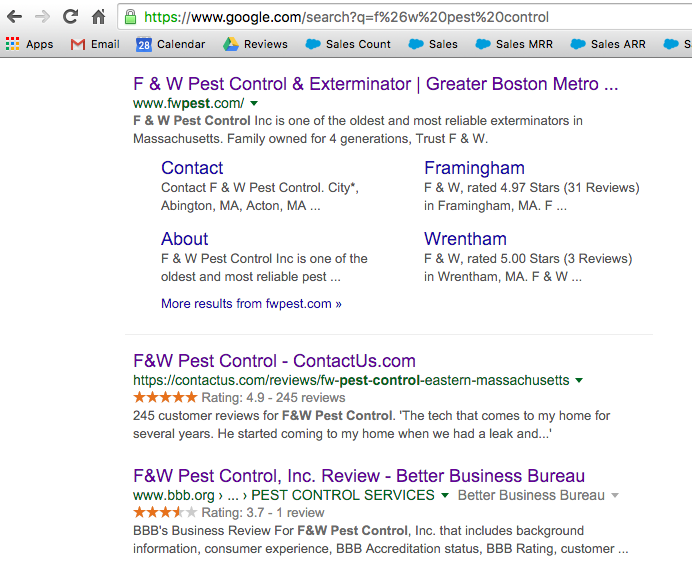 Rich Snippets SERP Feature